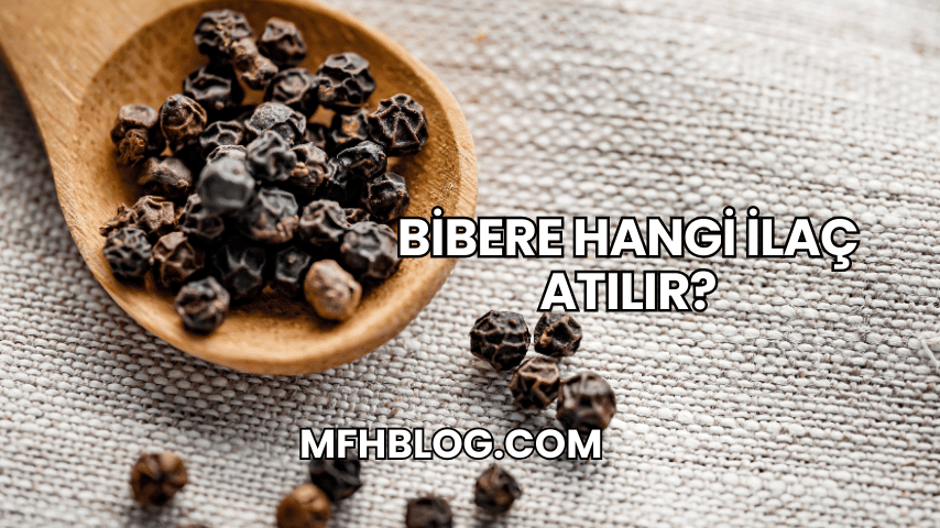 Bibere Hangi İlaç Atılır?