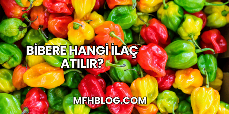 Bibere Hangi İlaç Atılır?