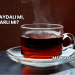 Çay Faydalı mı, Zararlı mı?