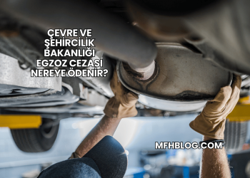 Çevre ve Şehircilik Bakanlığı Egzoz Cezası Nereye Ödenir?