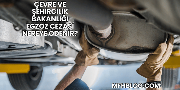 Çevre ve Şehircilik Bakanlığı Egzoz Cezası Nereye Ödenir?