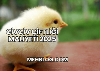 Civciv Çiftliği Maliyeti 2025