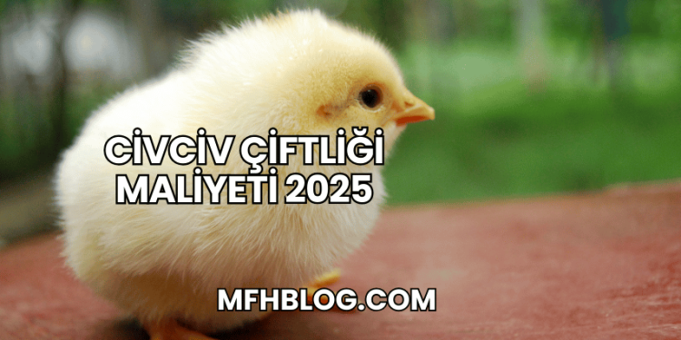 Civciv Çiftliği Maliyeti 2025