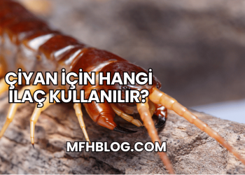 Çiyan İçin Hangi İlaç Kullanılır?