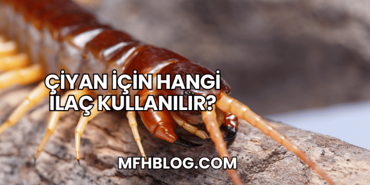 Çiyan İçin Hangi İlaç Kullanılır?