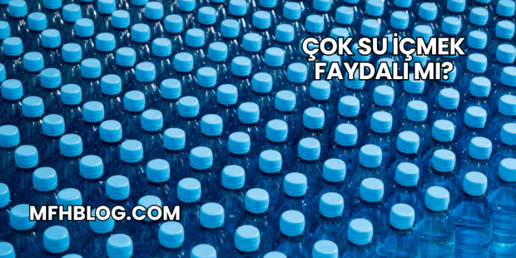 Çok Su İçmek Faydalı mı?