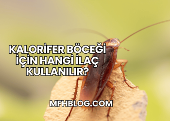 Kalorifer Böceği İçin Hangi İlaç Kullanılır?