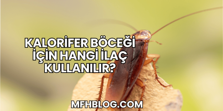 Kalorifer Böceği İçin Hangi İlaç Kullanılır?