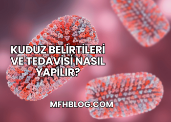 Kuduz Belirtileri ve Tedavisi Nasıl Yapılır?