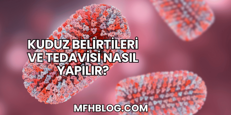 Kuduz Belirtileri ve Tedavisi Nasıl Yapılır?