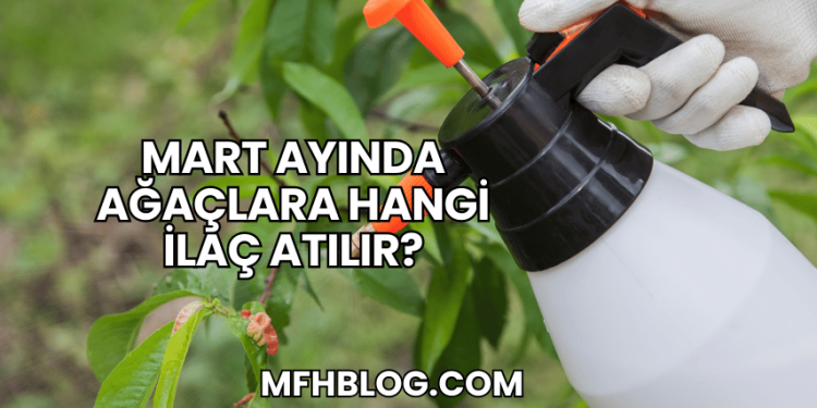 Mart Ayında Ağaçlara Hangi İlaç Atılır?