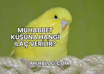 Muhabbet Kuşuna Hangi İlaç Verilir?
