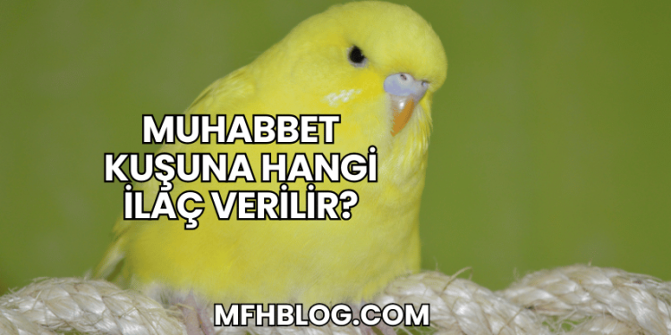 Muhabbet Kuşuna Hangi İlaç Verilir?