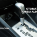 Otomatik Panda Alınır mı?