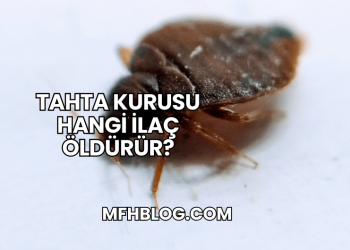 Tahta Kurusu Hangi İlaç Öldürür?