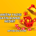 Tanıtım Yazısı Satın Almak Nedir?