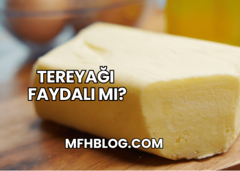 Tereyağı Faydalı mı?