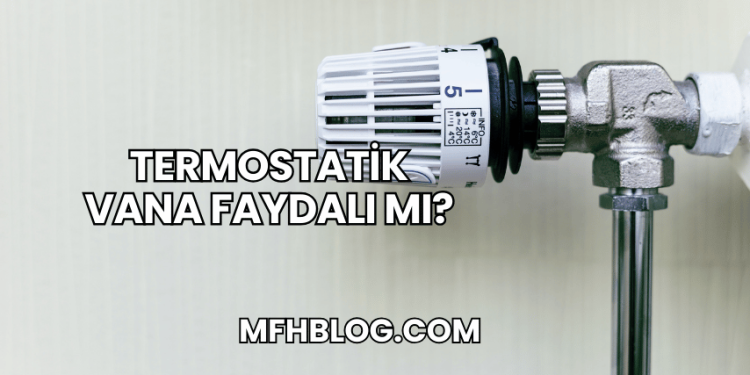 Termostatik Vana Faydalı mı?