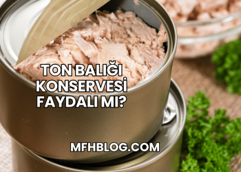 Ton Balığı Konservesi Faydalı mı?