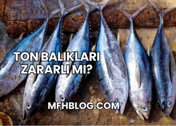 Ton Balıkları Zararlı mı?