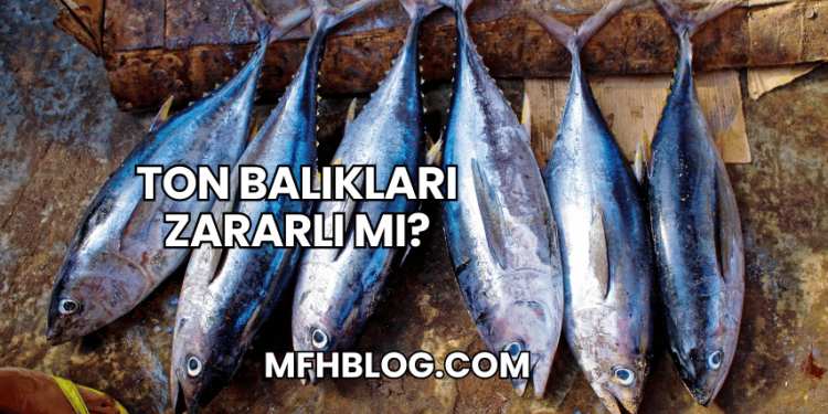 Ton Balıkları Zararlı mı?