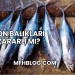 Ton Balıkları Zararlı mı?