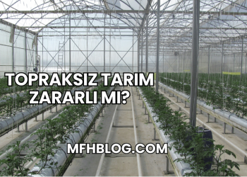 Topraksız Tarım Zararlı mı?