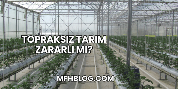 Topraksız Tarım Zararlı mı?