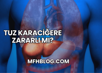 Tuz Karaciğere Zararlı mı?
