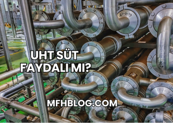 UHT Süt Faydalı mı?