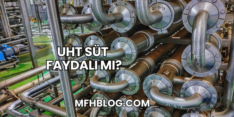 UHT Süt Faydalı mı?