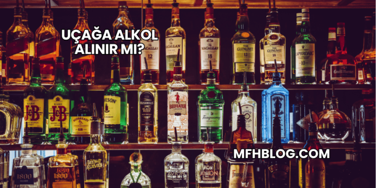 Uçağa Alkol Alınır mı?