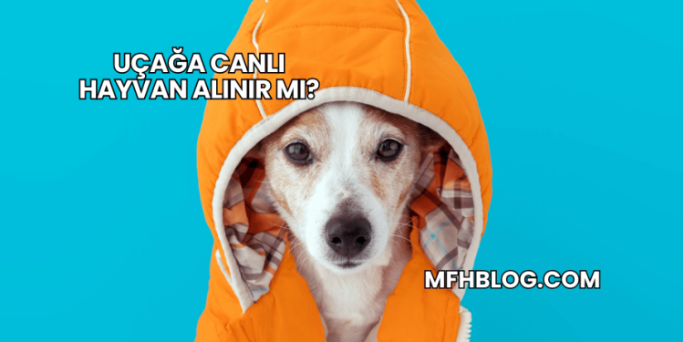 Uçağa Canlı Hayvan Alınır mı?