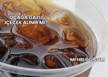 Uçağa Gazlı İçecek Alınır mı?