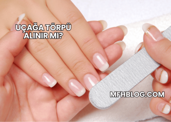 Uçağa Törpü Alınır mı?