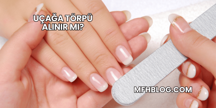 Uçağa Törpü Alınır mı?