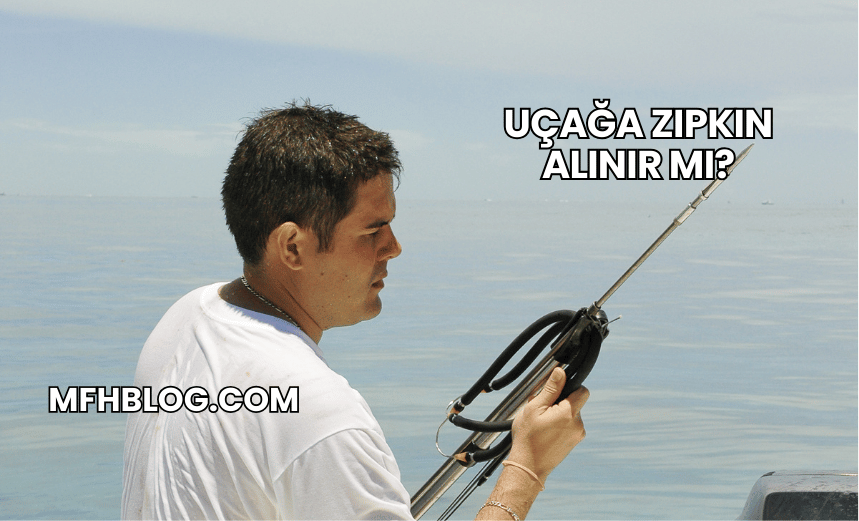 Uçağa Zıpkın Alınır mı?