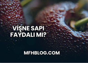 Vişne Sapı Faydalı mı?
