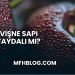 Vişne Sapı Faydalı mı?