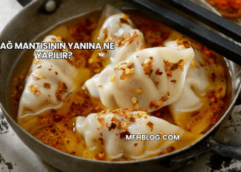 Yağ Mantısının Yanına Ne Yapılır?