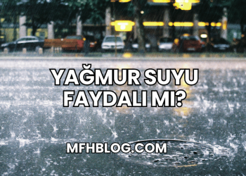 Yağmur Suyu Faydalı mı?