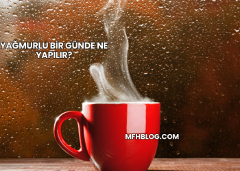 Yağmurlu Bir Günde Ne Yapılır?