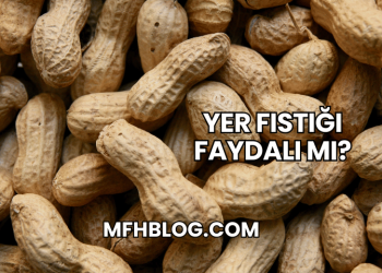 Yer Fıstığı Faydalı mı?
