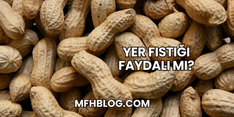 Yer Fıstığı Faydalı mı?