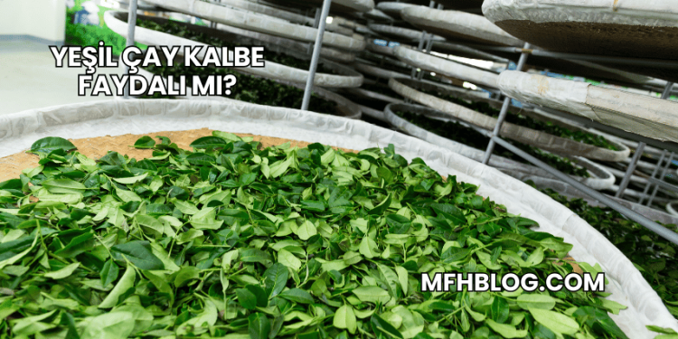 Yeşil Çay Kalbe Faydalı mı?
