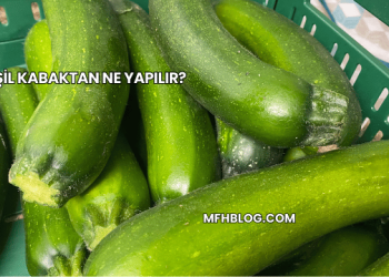 Yeşil Kabaktan Ne Yapılır?