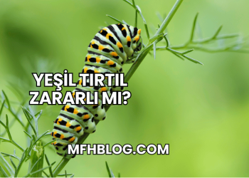 Yeşil Tırtıl Zararlı mı?