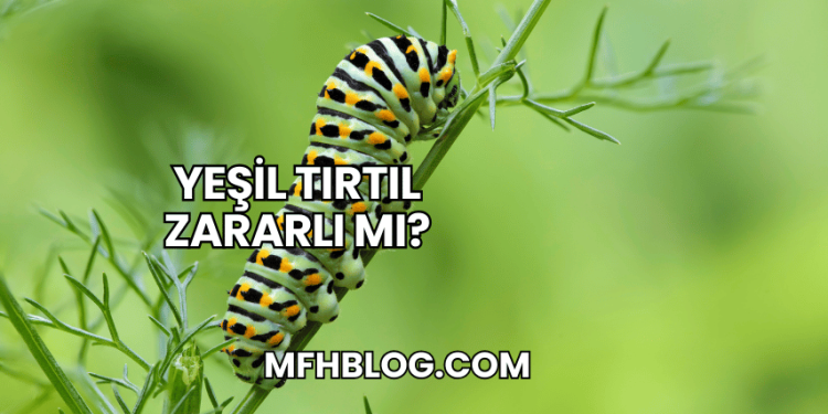 Yeşil Tırtıl Zararlı mı?