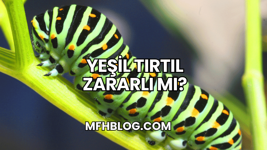 Yeşil Tırtıl Zararlı mı?