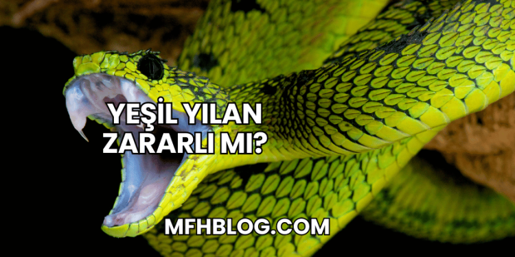 Yeşil Yılan Zararlı mı?
